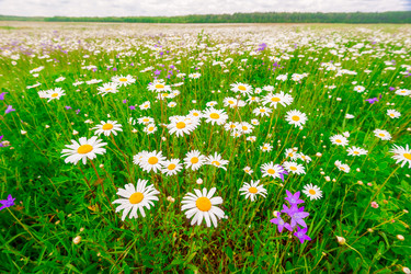 Similar image 7541758