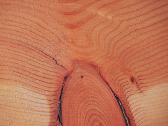 Similar image 7542109