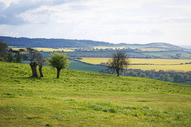 Similar image 7542134