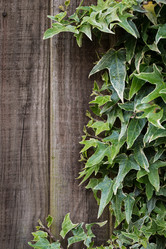 Similar image 7542145