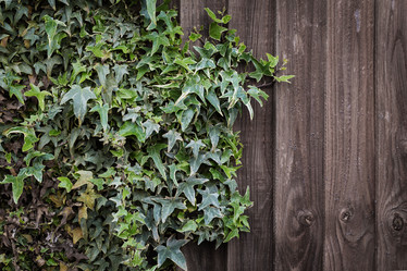 Similar image 7542149