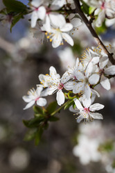 Similar image 7542159