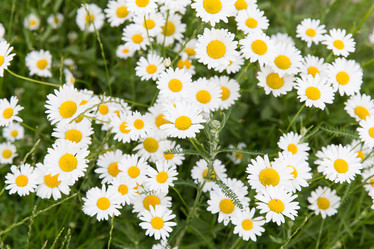 Similar image 7542175