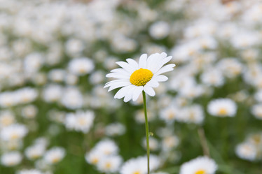 Similar image 7542176