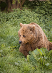 Similar image 7542194