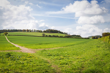 Similar image 7542195