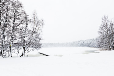 Similar image 7542197