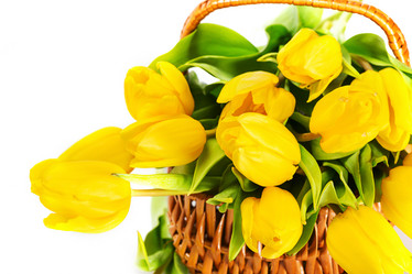 Similar image 7542201