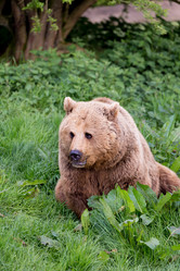 Similar image 7542205