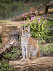 Similar image 7542206