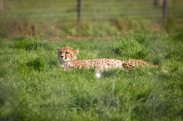 Similar image 7542208