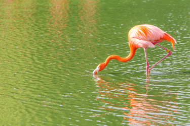 Similar image 7542210