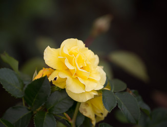 Similar image 7542236