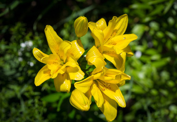 Similar image 7542253