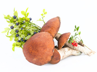 Similar image 7542256