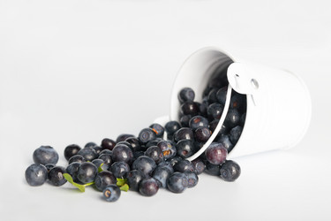 Similar image 7542259