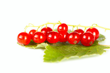 Similar image 7542260