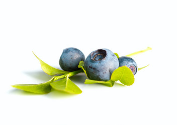 Similar image 7542265