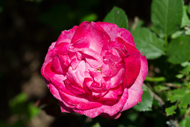 Similar image 7542271