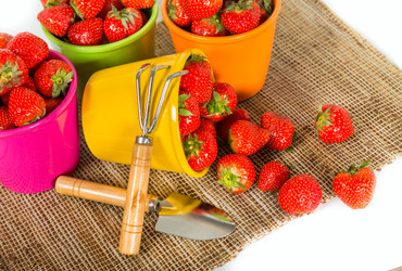 Similar image 7542277