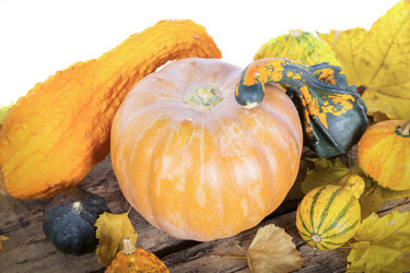 Similar image 7542278