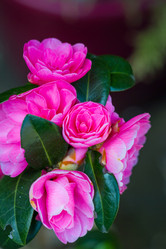 Similar image 7542286