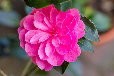 Similar image 7542287