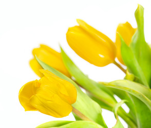 Similar image 7542292