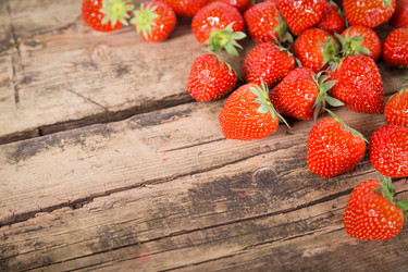 Similar image 7542294