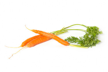 Similar image 7542310