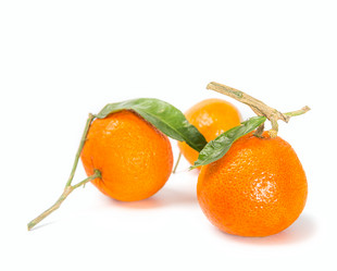 Similar image 7542316