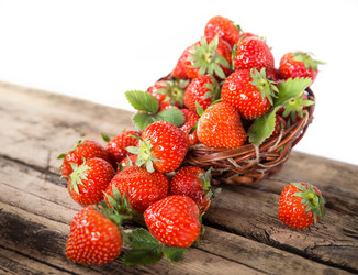 Similar image 7542317