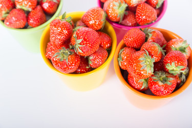 Similar image 7542340