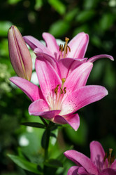 Similar image 7542352