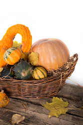 Similar image 7542354