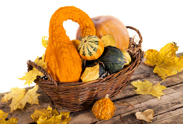 Similar image 7542375