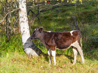 Similar image 7542390