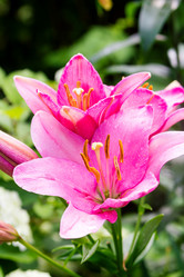 Similar image 7542392