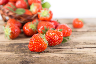 Similar image 7542396