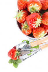 Similar image 7542399