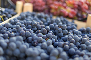 Similar image 7542400