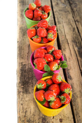 Similar image 7542407