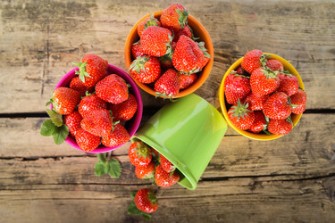 Similar image 7542408