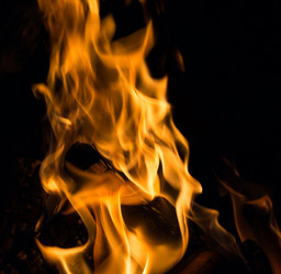 Similar image 7542418