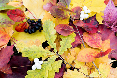 Similar image 7542421