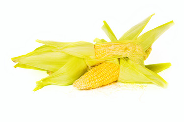 Similar image 7542424