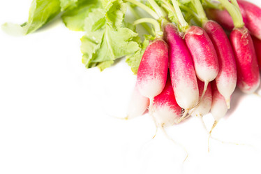 Similar image 7542432