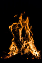 Similar image 7542442