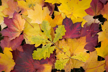 Similar image 7542458