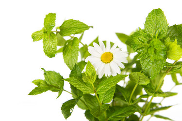 Similar image 7542461